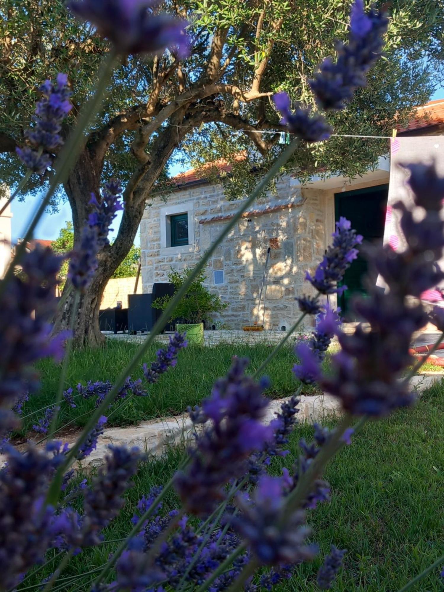 Villa Leggiero Benkovac Exterior foto
